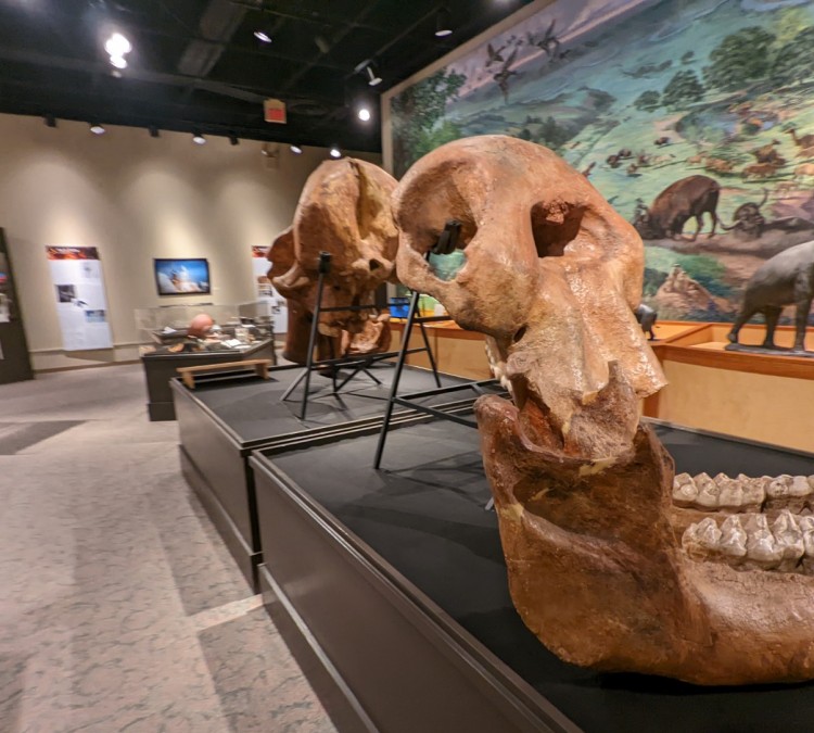 brazos-valley-museum-of-natural-history-photo